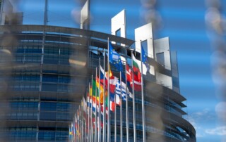 Cum am ajuns să reprezint România ca europarlamentar