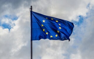 Uniunea Europeană între ReArm și dopuri de plastic: observațiile mele din interior